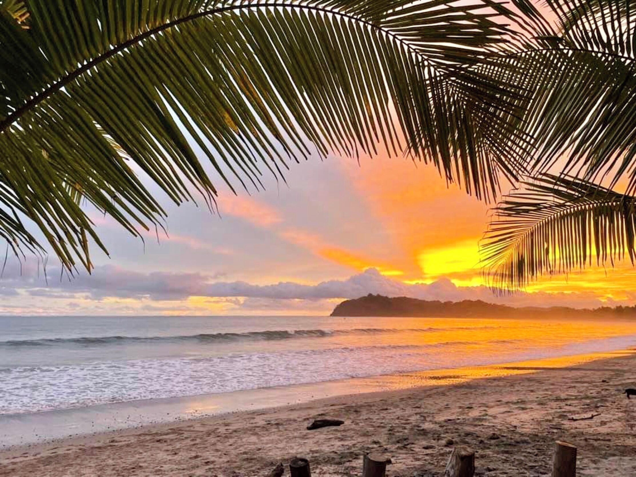 Tæt på stranden, liggestole, badehåndklæder