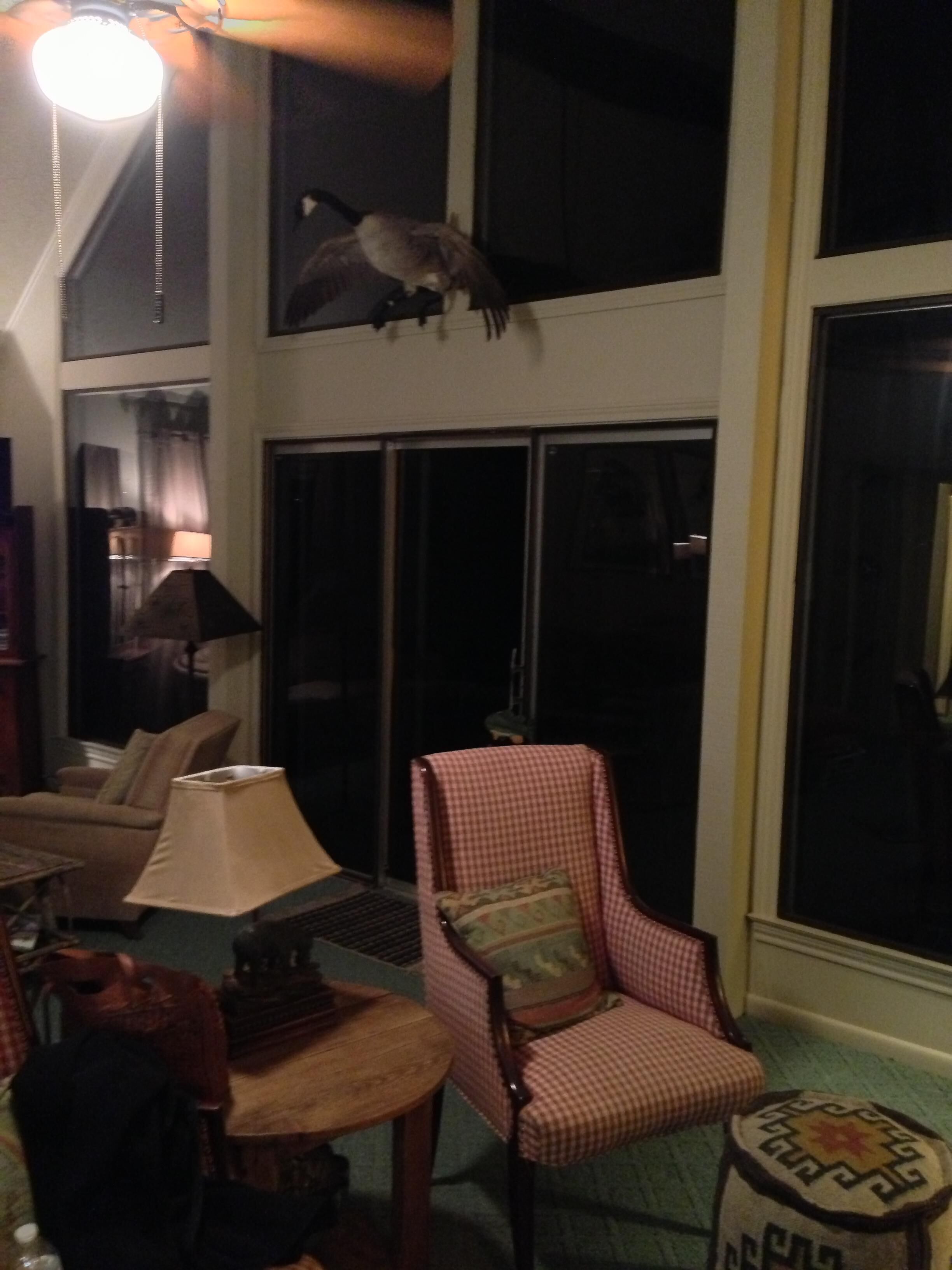 WOODED HILLSIDE LAKE HOUSE