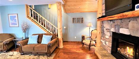 Télévision, cheminée, lecteur de DVD, livres