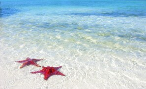 On the beach, sun loungers, beach towels
