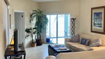 Smart TV, reproductor de DVD, libros, estéreo