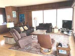 Smart TV, fireplace, books