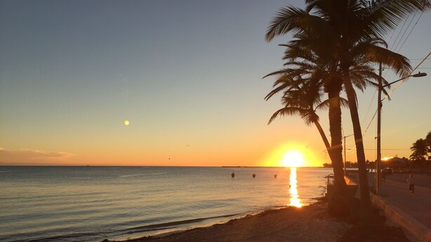 A beach at sunset with palm trees and a clear sky. - Relax by Florida Keys Beaches, just a 7-min drive away (Cudjoe Key)