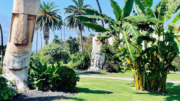 Un jardin tropical avec des palmiers, une sculpture en bois et une végétation luxuriante.
