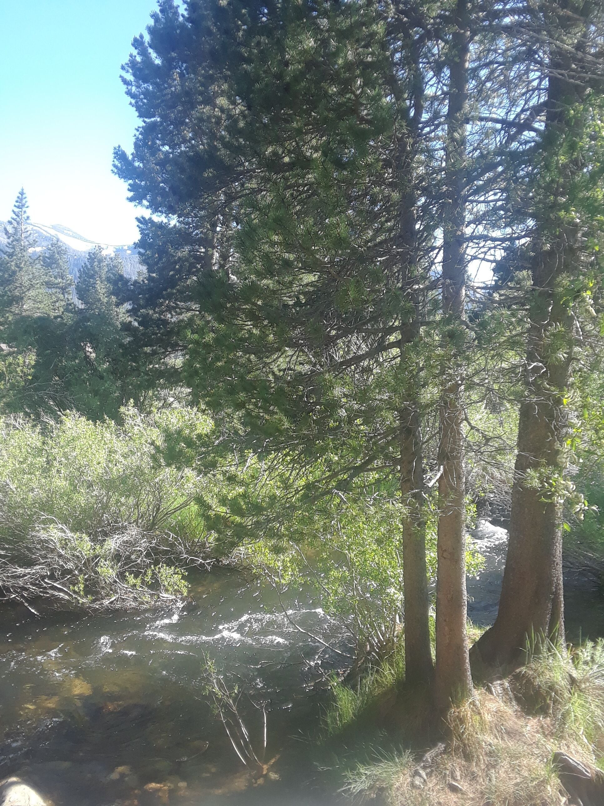 Relaxing vacay grt location,  2 ba, full kitn, comfy beds, hi-speed Wifi