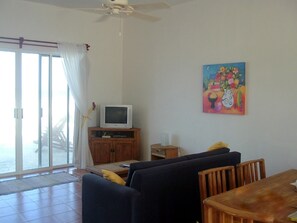 TV, DVD player, books, video library - Casa Rosa - Beautiful Ocean Front Home - 2 Bedroom Apartment (Isla Mujeres)