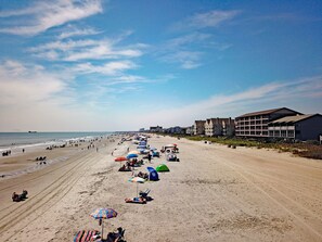 A beach with rows of beach umbrellas, a pier, and buildings along the shore.