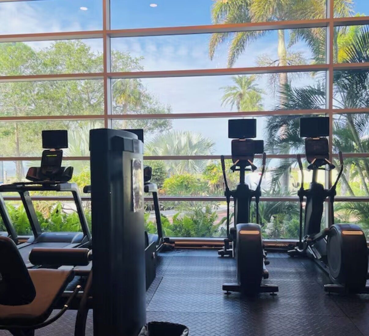 A gym with exercise equipment and large windows overlooking a tropical landscape.