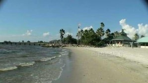 A beach with clear water, a sandy shore, and a row of palm trees.