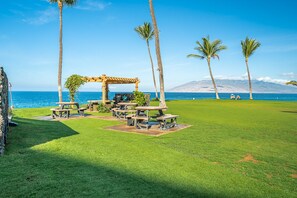 Zona verde con mesas de picnic y una pérgola, con vistas a un cuerpo de agua, palmeras y montañas al fondo.