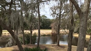 A serene lakeside view with mature trees and a sandy beach area. - PANORAMIC GOLF LAGOON VIEW,WALK TO BEACH, BEACH LOCKER,FROM OWNER,NO HIDDEN FEES (Hilton Head Island)