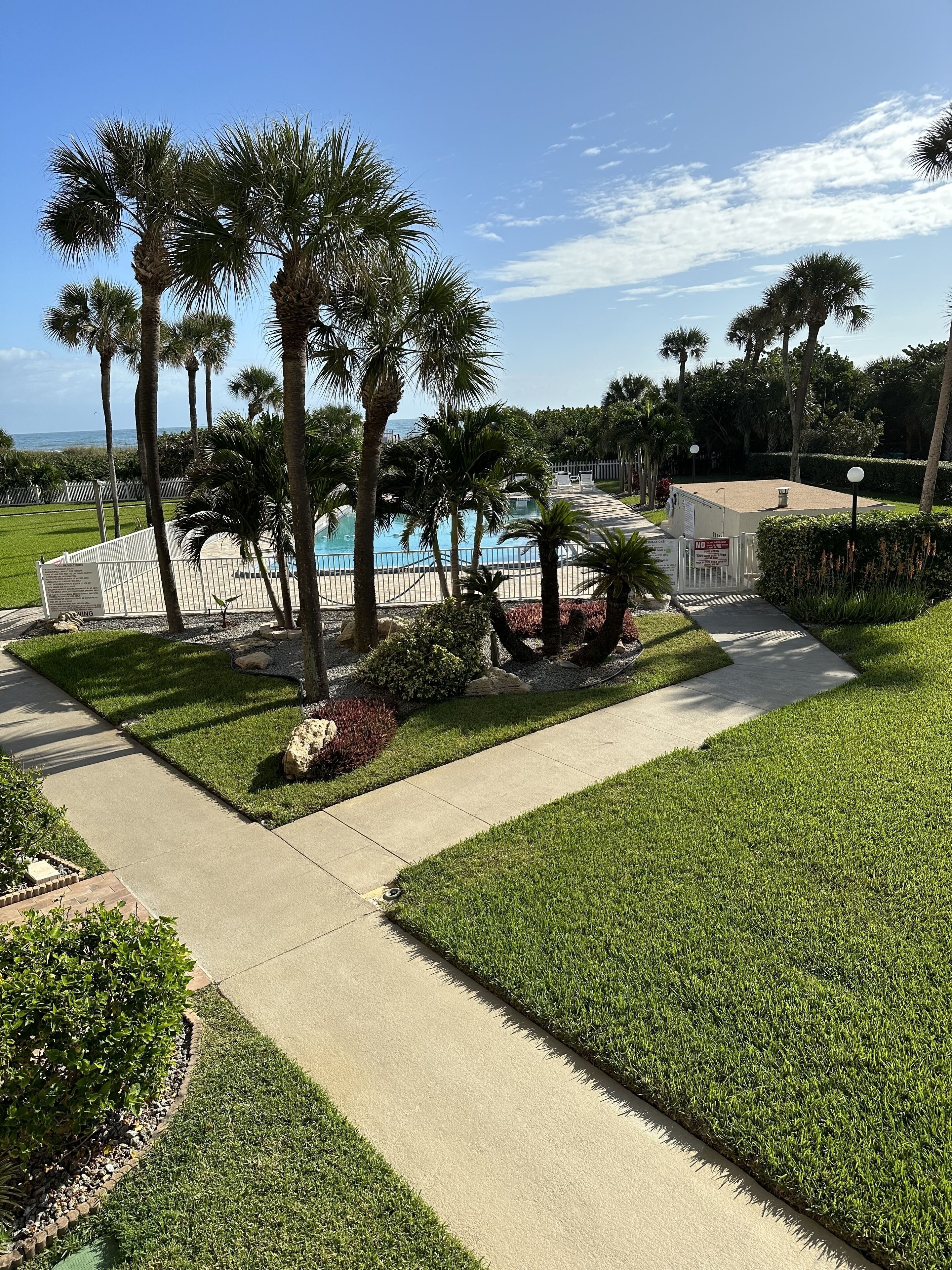 A pool area with palm trees, a clear sky, and a fenced pool.
