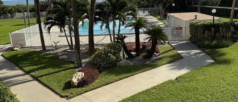 A pool area with palm trees, a clear sky, and a fenced pool.