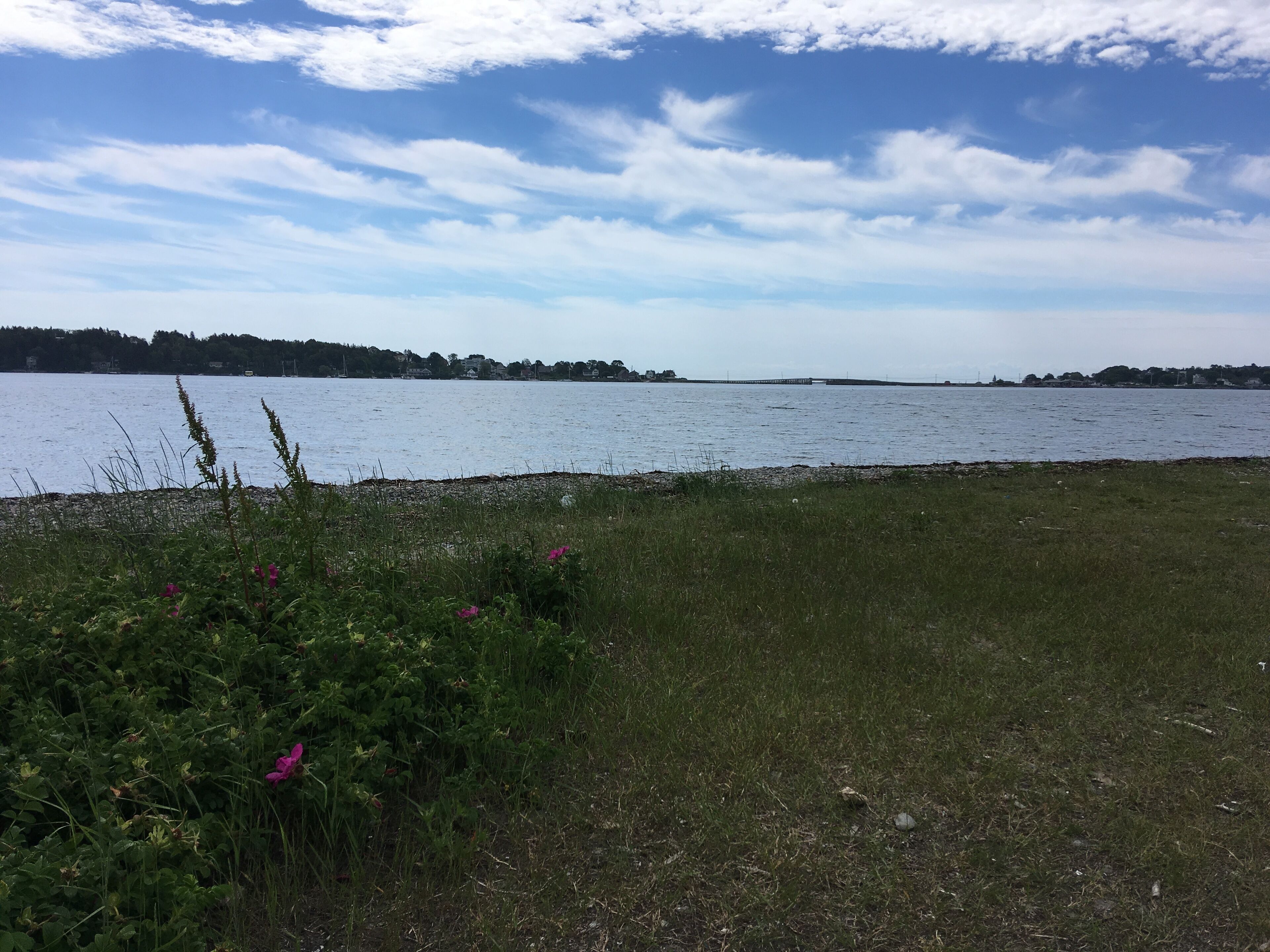 Ett grönområde med en vattenyta och en avlägsen strandlinje.