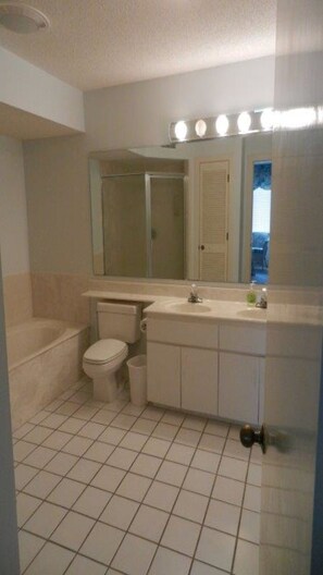 Combined shower/tub, jetted tub, hair dryer, towels