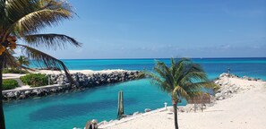 A beach with clear turquoise water, a sandy shore, and palm trees.