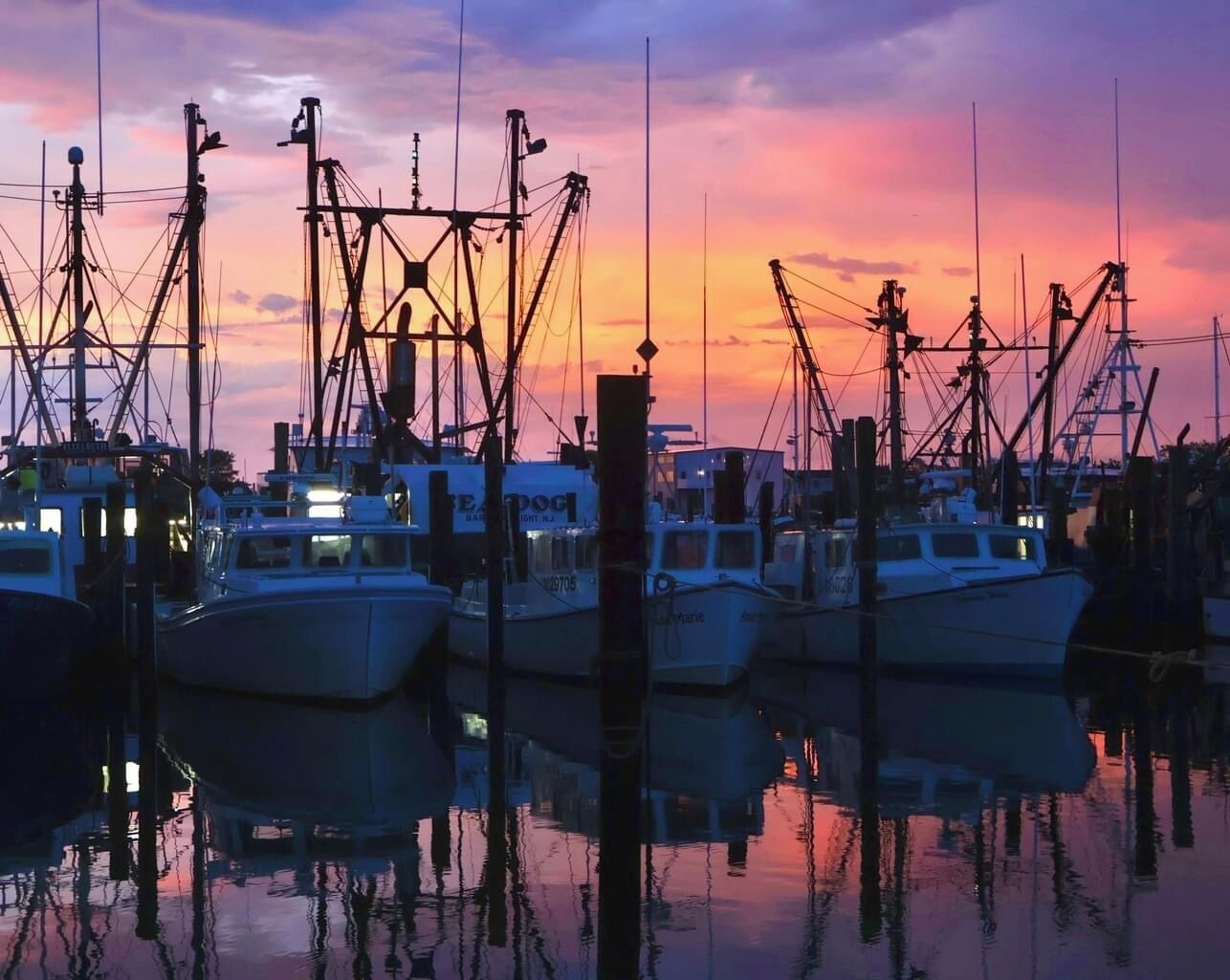 Marina