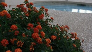 Zona de piscina con sillones de descanso y un tobogán.