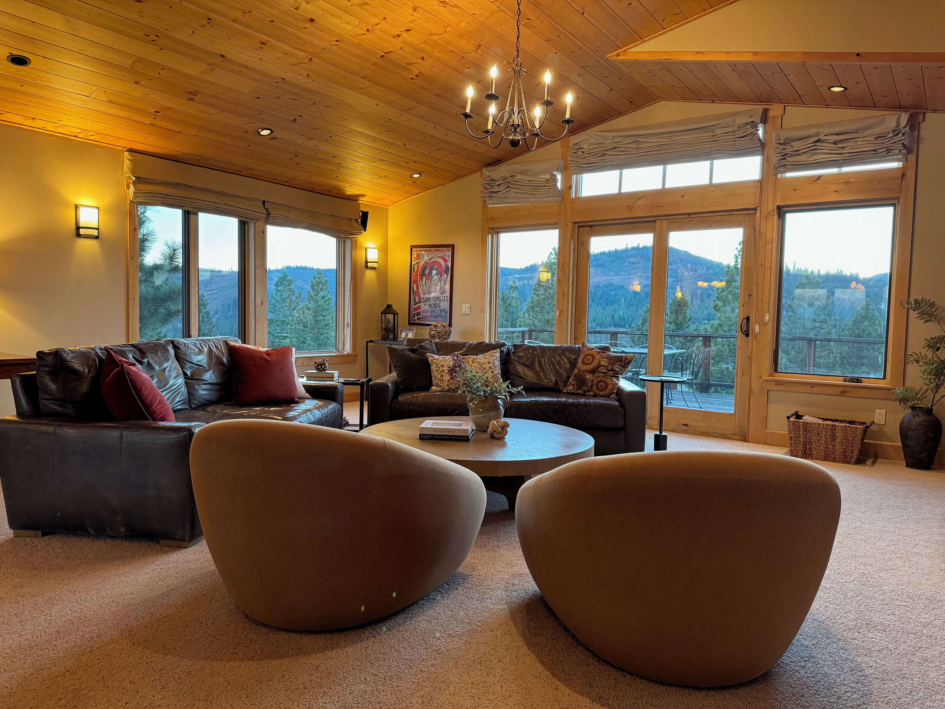 Smart TV, fireplace, DVD player, books