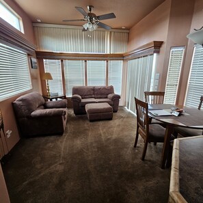 TV, DVD player, video library