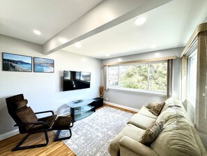 TV, fireplace, DVD player, books