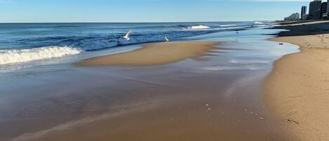 靠近海滩、沙滩椅