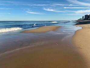 Beach nearby, sun loungers