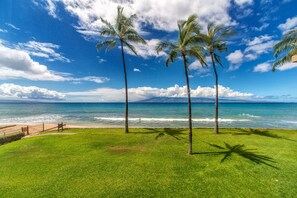 On the beach - Oceanfront Property - 60 feet from the ocean. Beautiful views, free WiFi  (Lahaina)