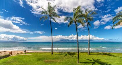 Oceanfront Property - 60 feet from the ocean. Beautiful views, free WiFi