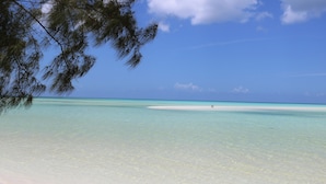 A beach with clear turquoise water and white sand, framed by tree branches. - Paradise Beach Cottage- Newly Renovated 3 Bed/3 Bath Cottage On The Beach (Eleuthera)