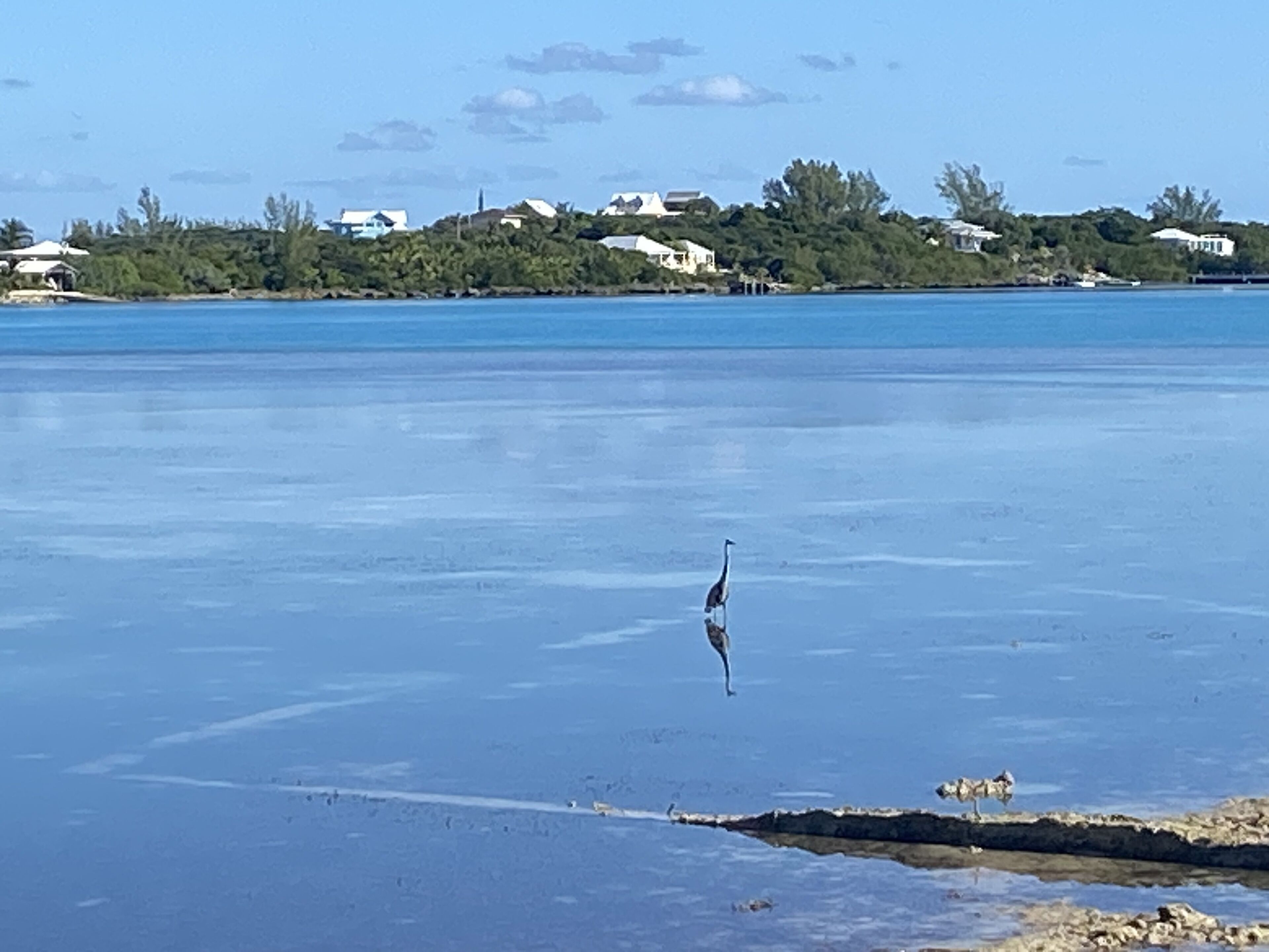 Una playa con vista despejada al océano y una costa lejana con casas.