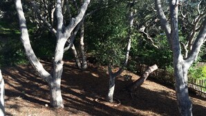 Un parque con árboles y una valla de madera.