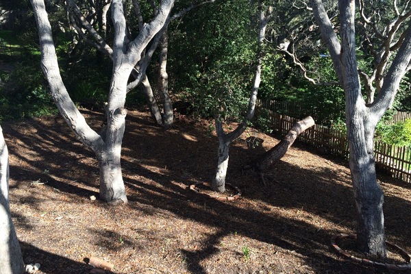 Área da propriedade