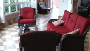 Älytelevisio, DVD-soitin