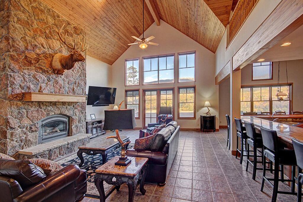 Smart TV, fireplace, DVD player, books