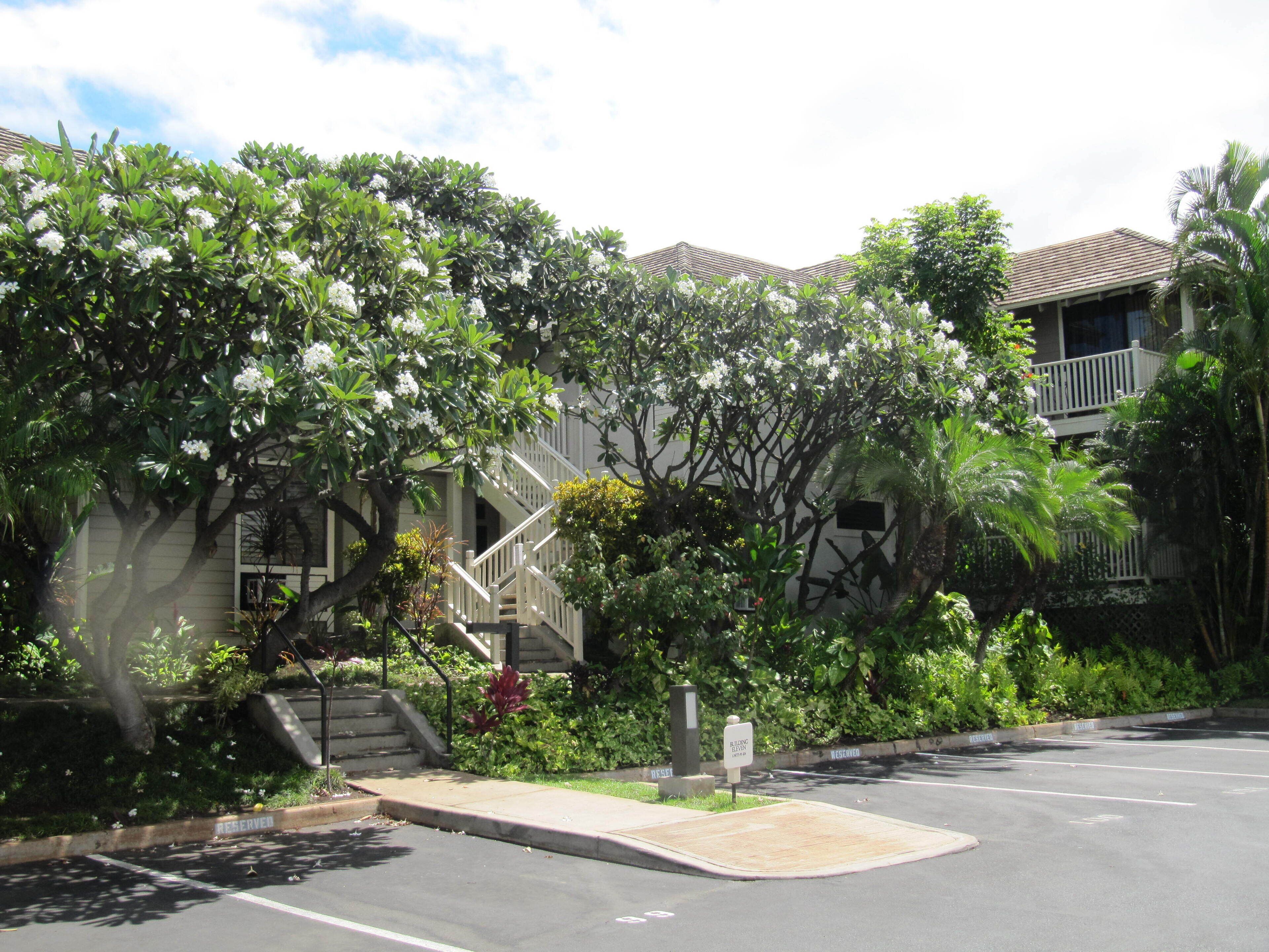 A building with a staircase leading to a balcony, surrounded by lush greenery and white flowering trees.