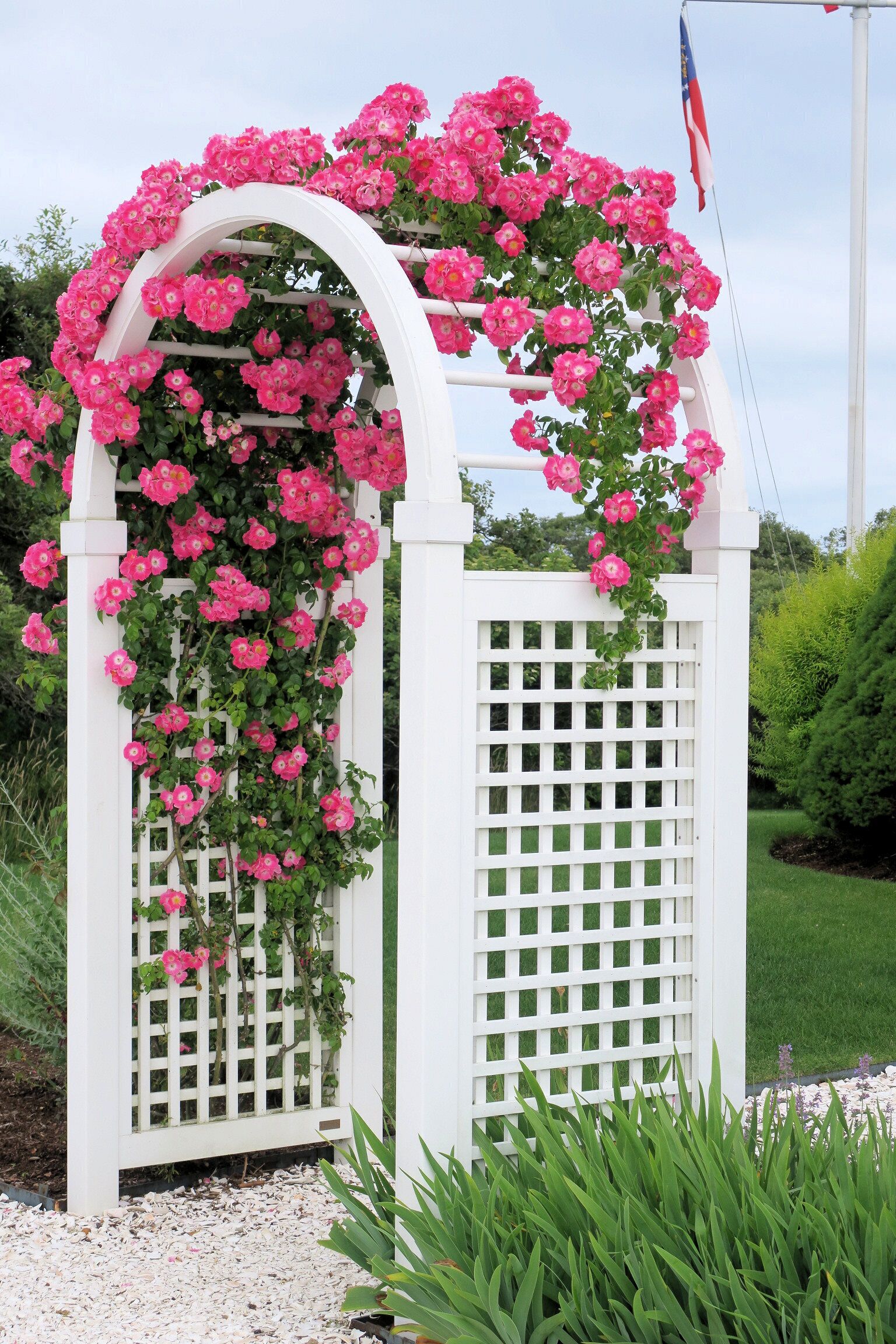 Enceinte de l’hébergement