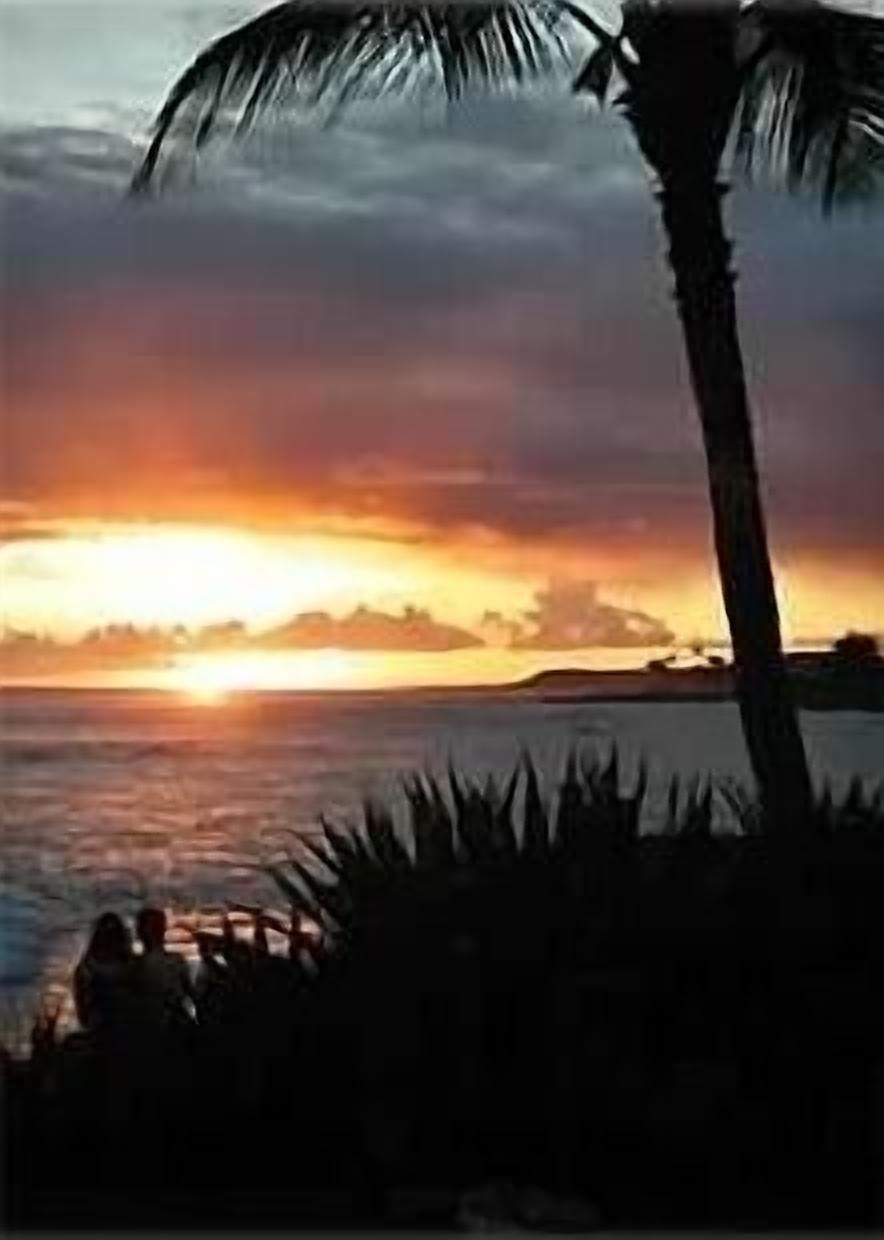 Poipu Oceanfront Dream Getaway at Kuhio Shores! 30 feet from the waters edge!!!