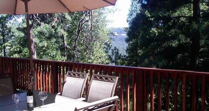 Luxury Mountain Home Nestled in the Pines with Central Air Conditioning