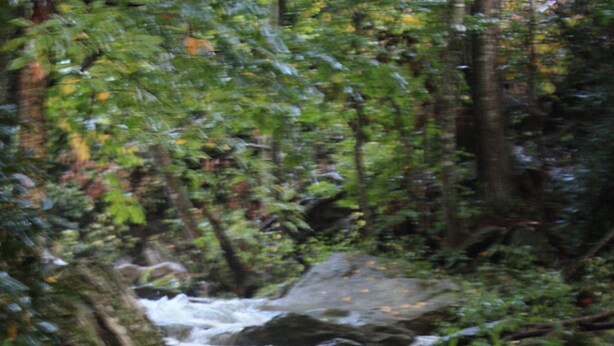A natural water stream flowing over rocks in a forested area. - Relaxing retreat on Otter Falls with views of Grandfather Mountain. (Seven Devils)