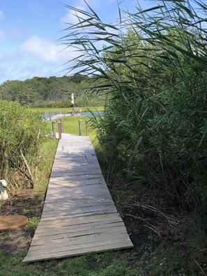 Stroll along the winding boardwalk, surrounded by lush vegetation and scenic views of a tranquil body of water.