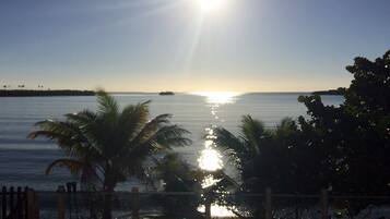 Plage, chaises longues, serviettes de plage