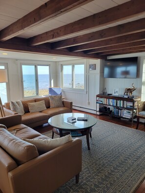 Smart TV, fireplace, DVD player, books