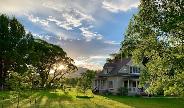 Une maison avec un porche, entourée d’arbres et bordée d’une pelouse.