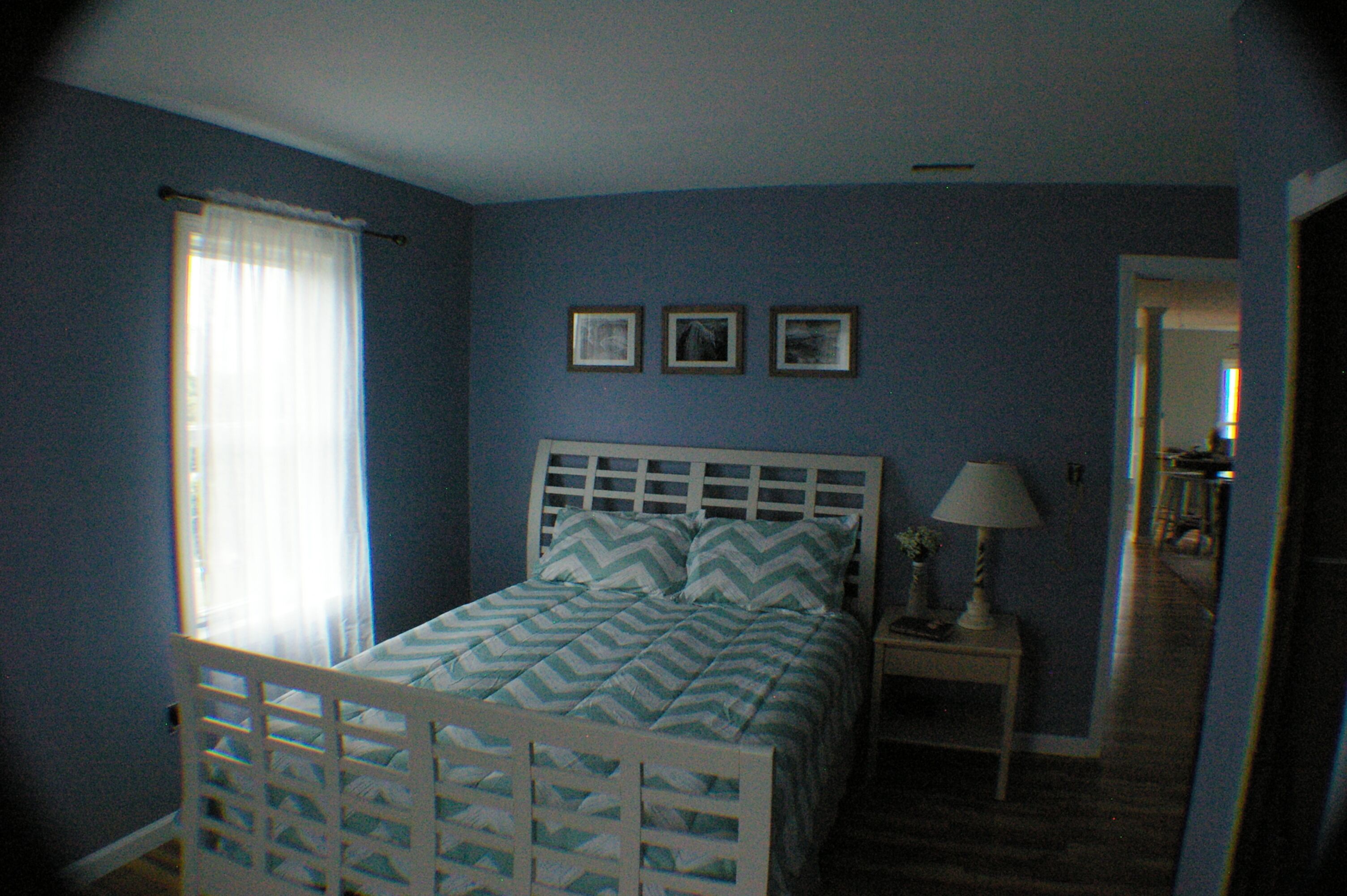 Pet Friendly! Extra clean and great Internet!