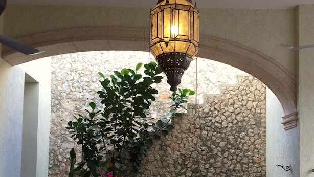 A stone wall with a staircase, a hanging lantern, and various plants.