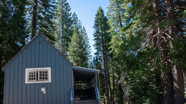 A small, single-story wooden cabin with a porch and a window, surrounded by tall pine trees.