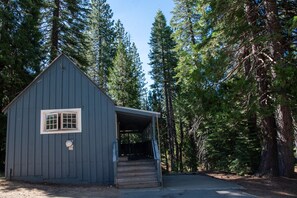 A small, single-story wooden cabin with a porch and a window, surrounded by tall pine trees.