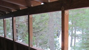 A wooden balcony with a view of dense forest and tall trees.