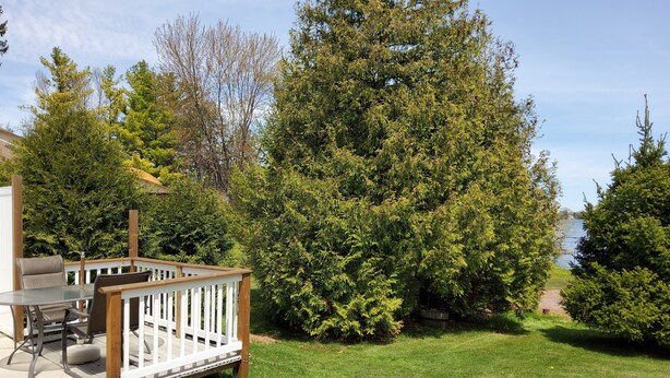 A backyard with a wooden deck, a table and chairs, and a large tree.
